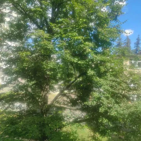 Apartamento уютная современная,однокомнатная по проспекту леся курбаса 9д Kiev